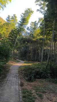 《神龍潭瀑布：探秘自然奇境，暢享山水逸趣之旅》。