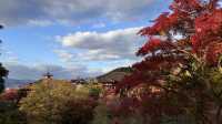 京都｜清水寺紅葉瀑布 風光無限