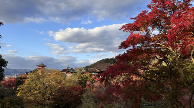 京都｜清水寺紅葉瀑布 風光無限