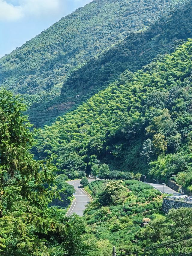 反爬安頂山 | 杭州公路車爬坡技術分水嶺