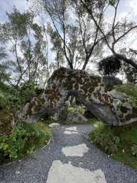 深圳龍華公園又對外開放啦！