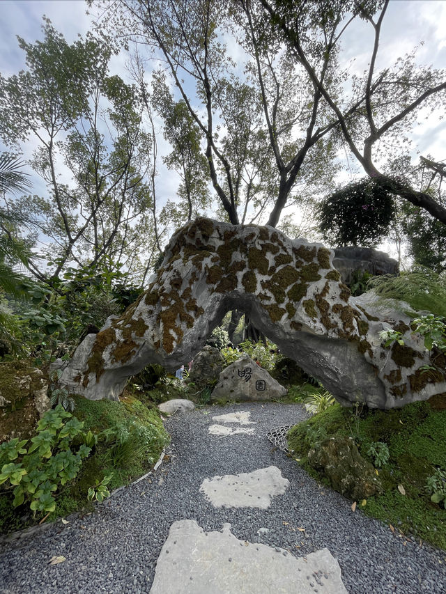 深圳龍華公園又對外開放啦！