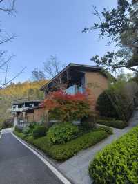 保利明月川雲孚里雲宿溫泉酒店