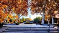 深秋的武漢解放公園——紅得發紫