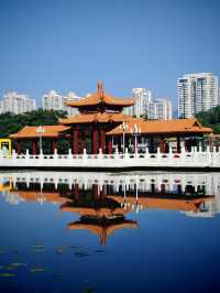 好像遇到了綠光森林！不敢相信這是荔枝公園