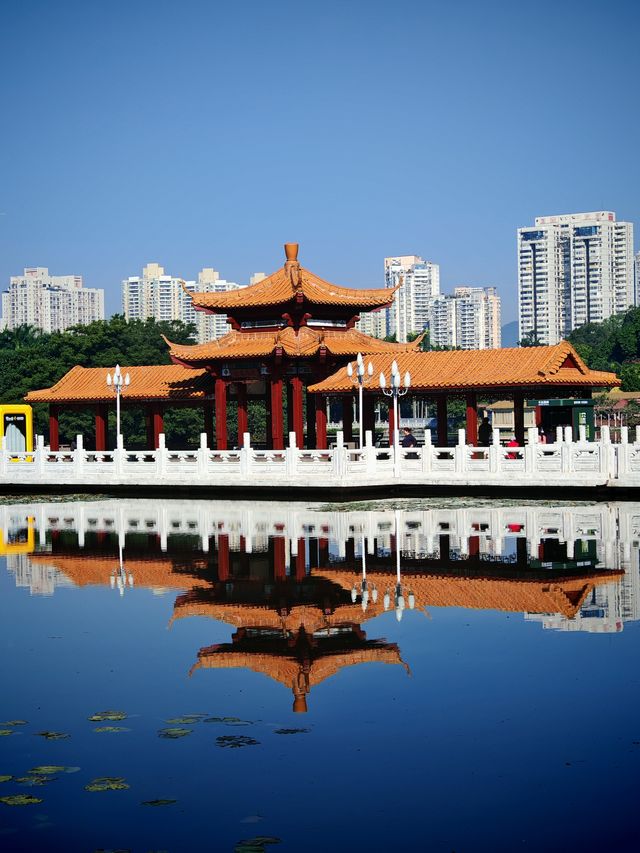 好像遇到了綠光森林！不敢相信這是荔枝公園