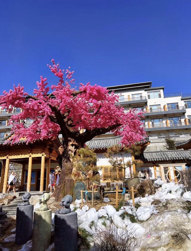 琵岩山溫泉｜冬天必須來一場泡湯吧！！！