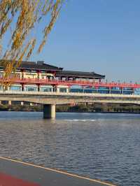 西安隔壁的「小海濱」，冬韻咸陽湖等你來撩！