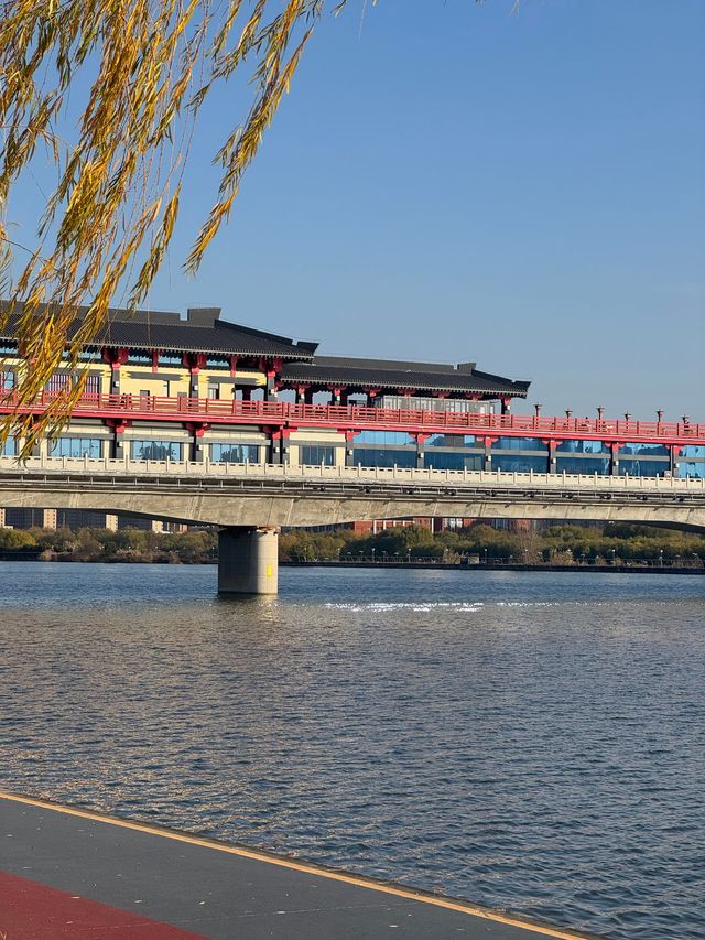 西安隔壁的「小海濱」，冬韻咸陽湖等你來撩！