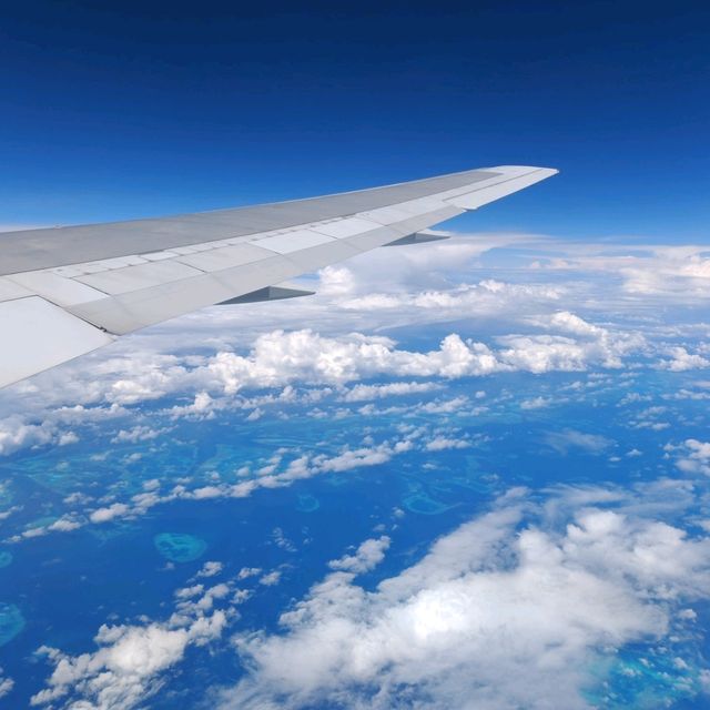 新几内亚航空