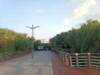 撫順月牙島生態公園：城市中的詩意綠洲