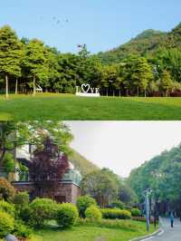 漫步在雲的故鄉 — 感受棠山之巅的詩與遠方