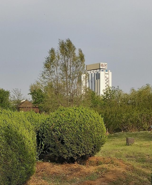 盤錦湖濱公園：城市中的寧靜綠洲