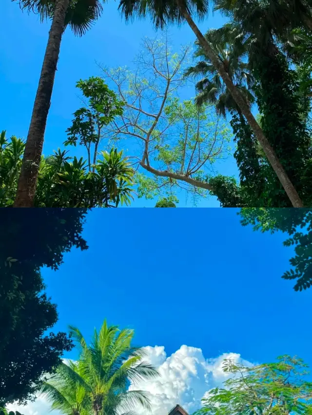 7 เมืองที่เหมาะสำหรับการท่องเที่ยวในเดือนมกราคม