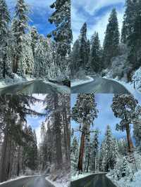 冬日的美洲杉國家公園，童話般的冰雪世界