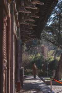 濟南旅行攻略，探秘冬日裡的千年古剎靈岩寺