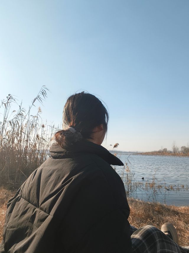 冬日「四方湖」湖畔