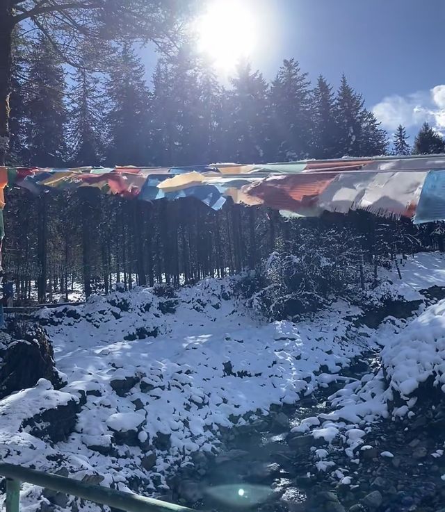 小眾景點太棒了！人少景美！你一定不要錯過！！