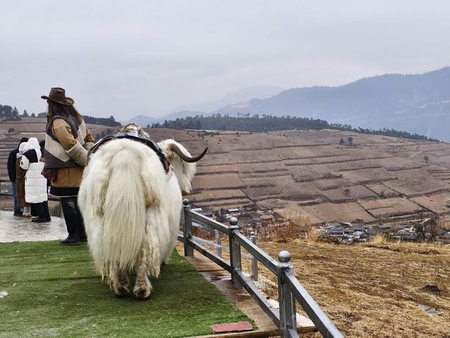 哈巴雪山