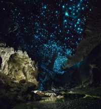 Exploring the Waitomo Glowworm Caves