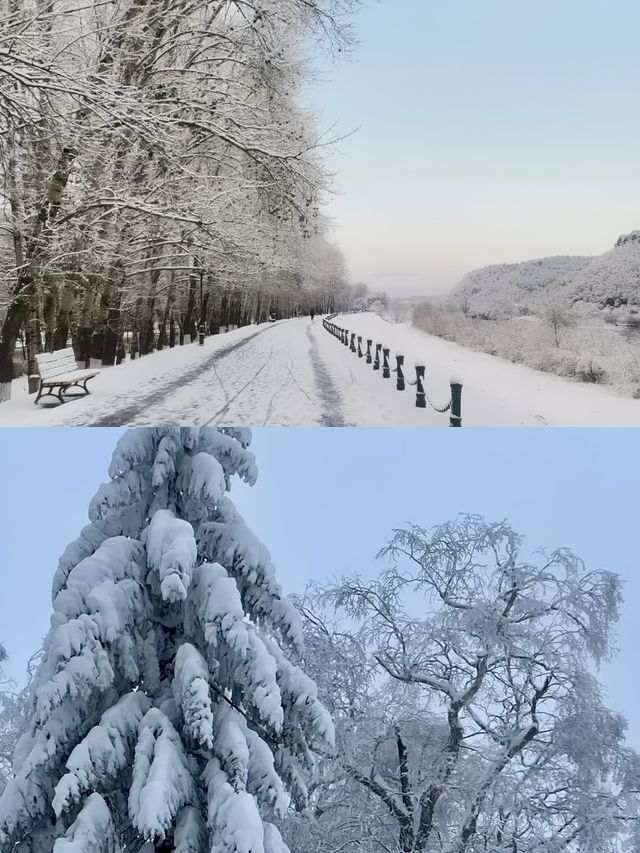 打卡平昌郡 這個冬天你值得擁有