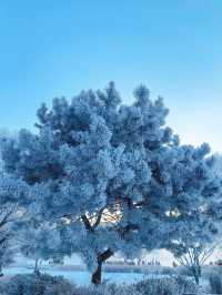 6日暢遊吉林長白山-雪鄉 省心省力又省錢