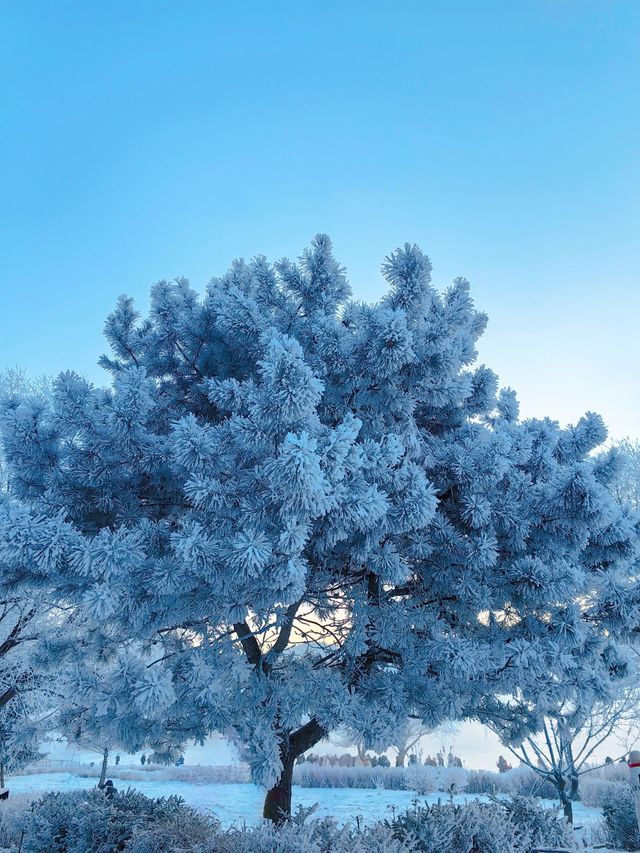 6日暢遊吉林長白山-雪鄉 省心省力又省錢