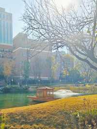 冬日暖陽下的摩訶池公園