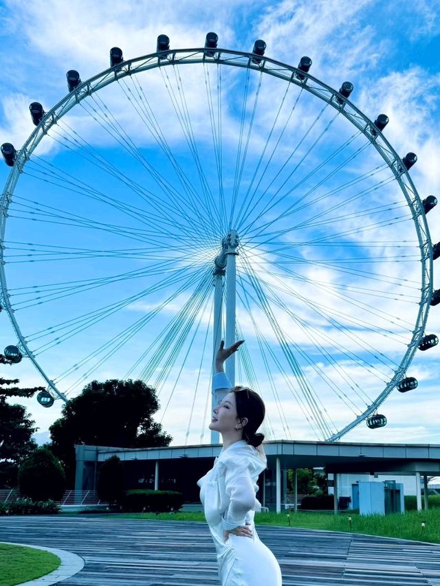 Ferris wheel to see Singapore luxury night view🌹