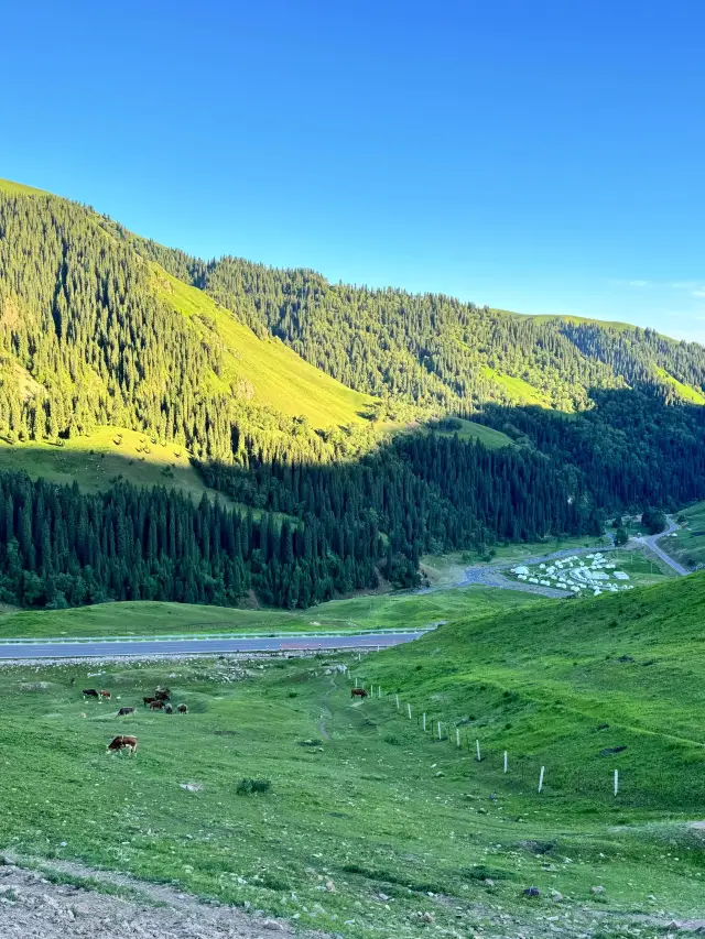 Xinjiang Yili - Yining City: A Super Detailed Guide for Traveling with Kids