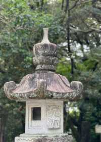日本高知竹林寺｜禪意寶藏之旅