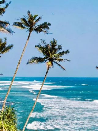 烏納瓦圖納海灘：探索斯里蘭卡的魔力