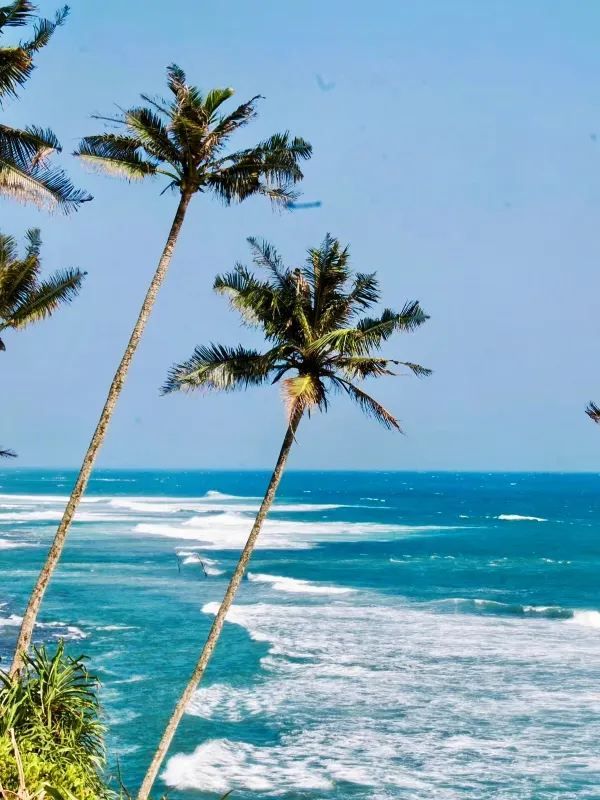 Unawatuna Beach: Discover the Magic of Sri Lanka
