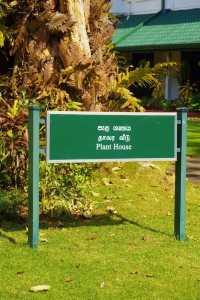 Discover the Green Paradise of Sri Lanka