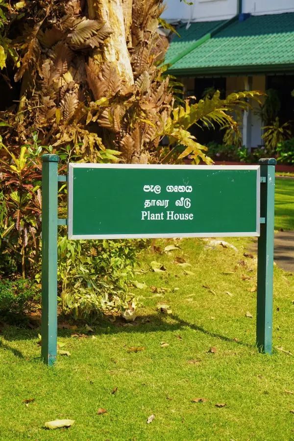 Discover the Green Paradise of Sri Lanka