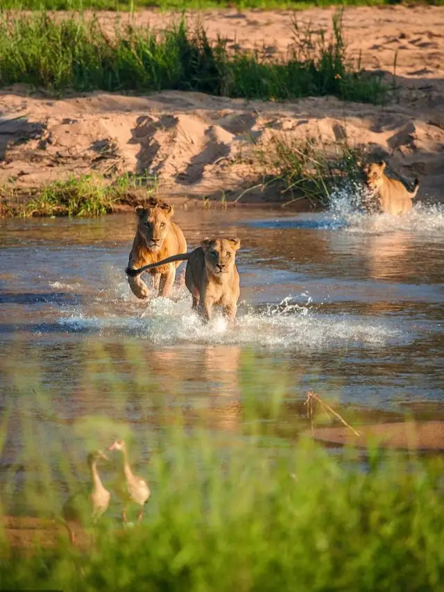 13-Day Trip Across Kenya and Other Countries: Detailed Travel Guide