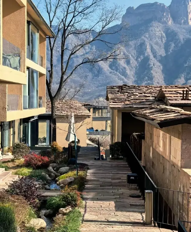 2 hours from Handan to Shijiazhuang!! Stay in the forest