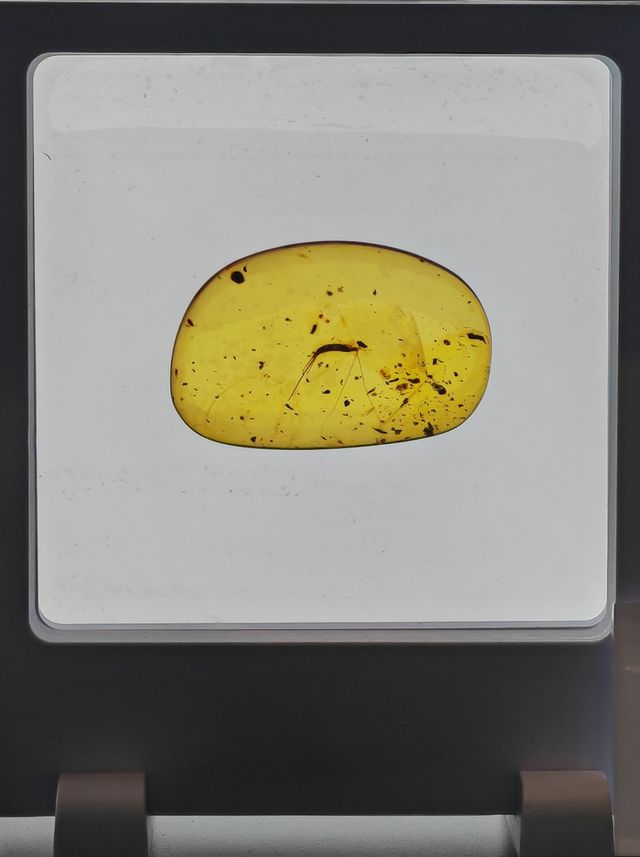 玉碗盛光——珍稀琥珀展