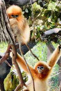 人生建議：一定要去一次南京紅山動物園！