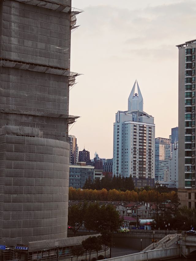 蘇河皓司的露台