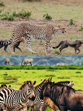 [Dar es Salaam: A Two-Day Dream, A Wonderful Journey Through Ancient and Modern Nature]