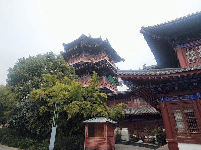 江蘇遊