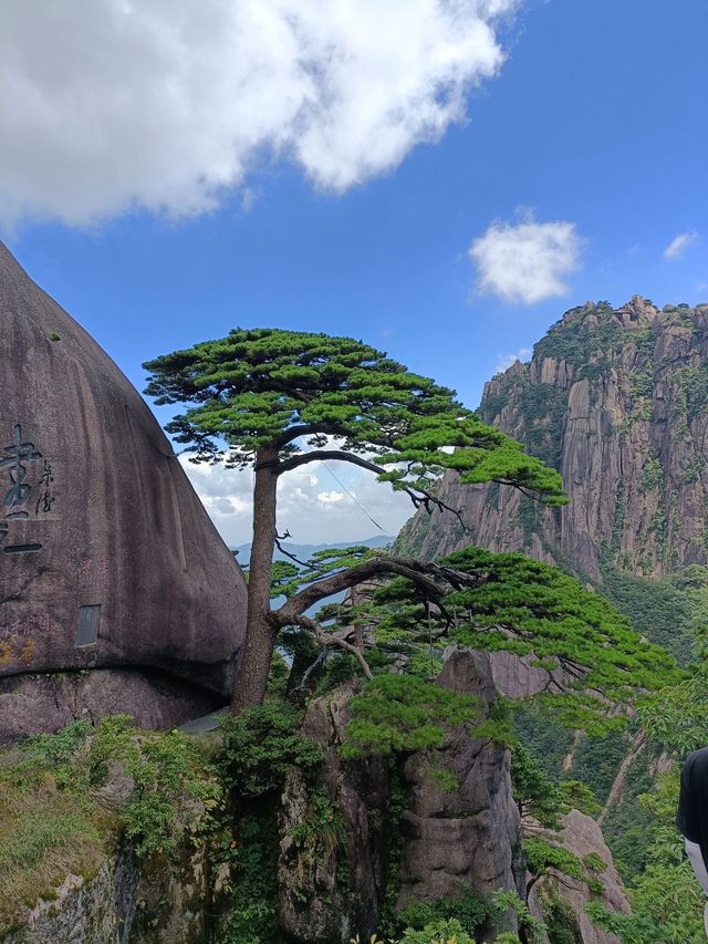 寒假黃山遊｜溫泉度假 錯過等一年