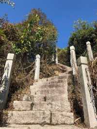 深圳登山-塘朗山（五）