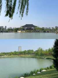 西安世博園 | 邂逅春日限定浪漫