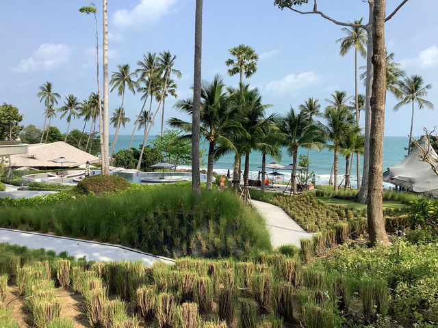 蘇梅島奢華度假首選 | Hyatt Regency   酒店：Hyatt Regency Koh 