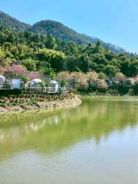 挖到佛山洗肺遊玩點南山山攻略