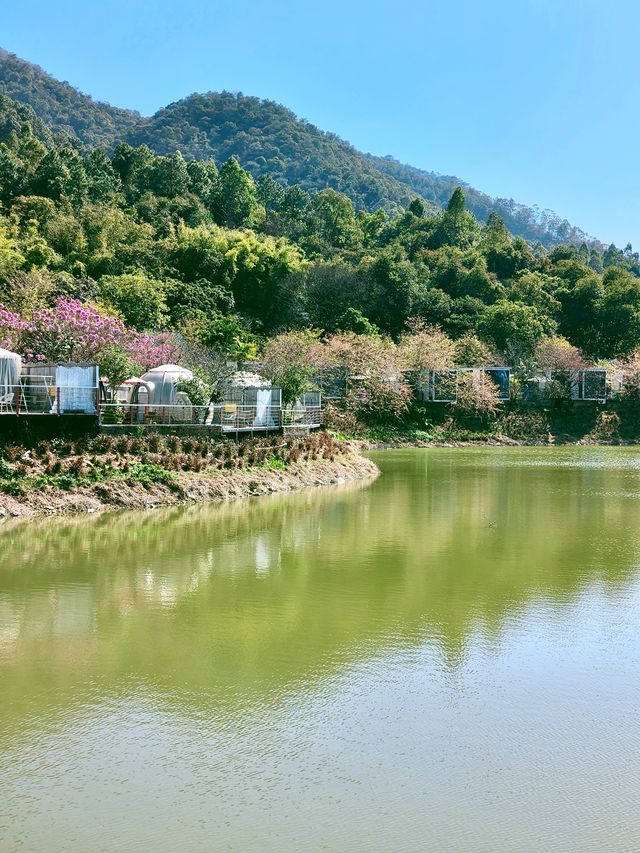 挖到佛山洗肺遊玩點南山山攻略