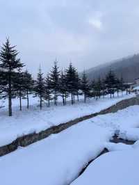 哈爾濱-雪鄉滑雪新手也能變高手攻略速覽