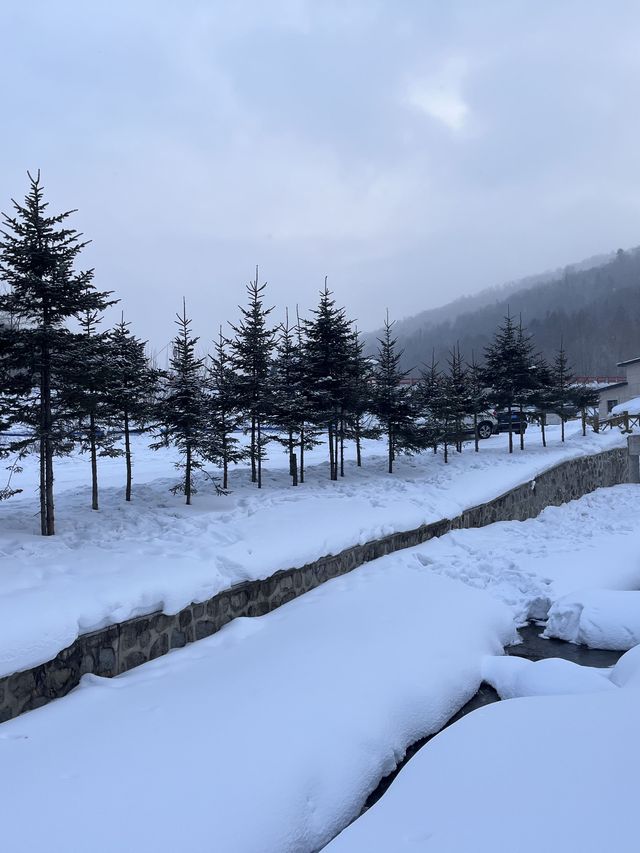 哈爾濱-雪鄉滑雪新手也能變高手攻略速覽